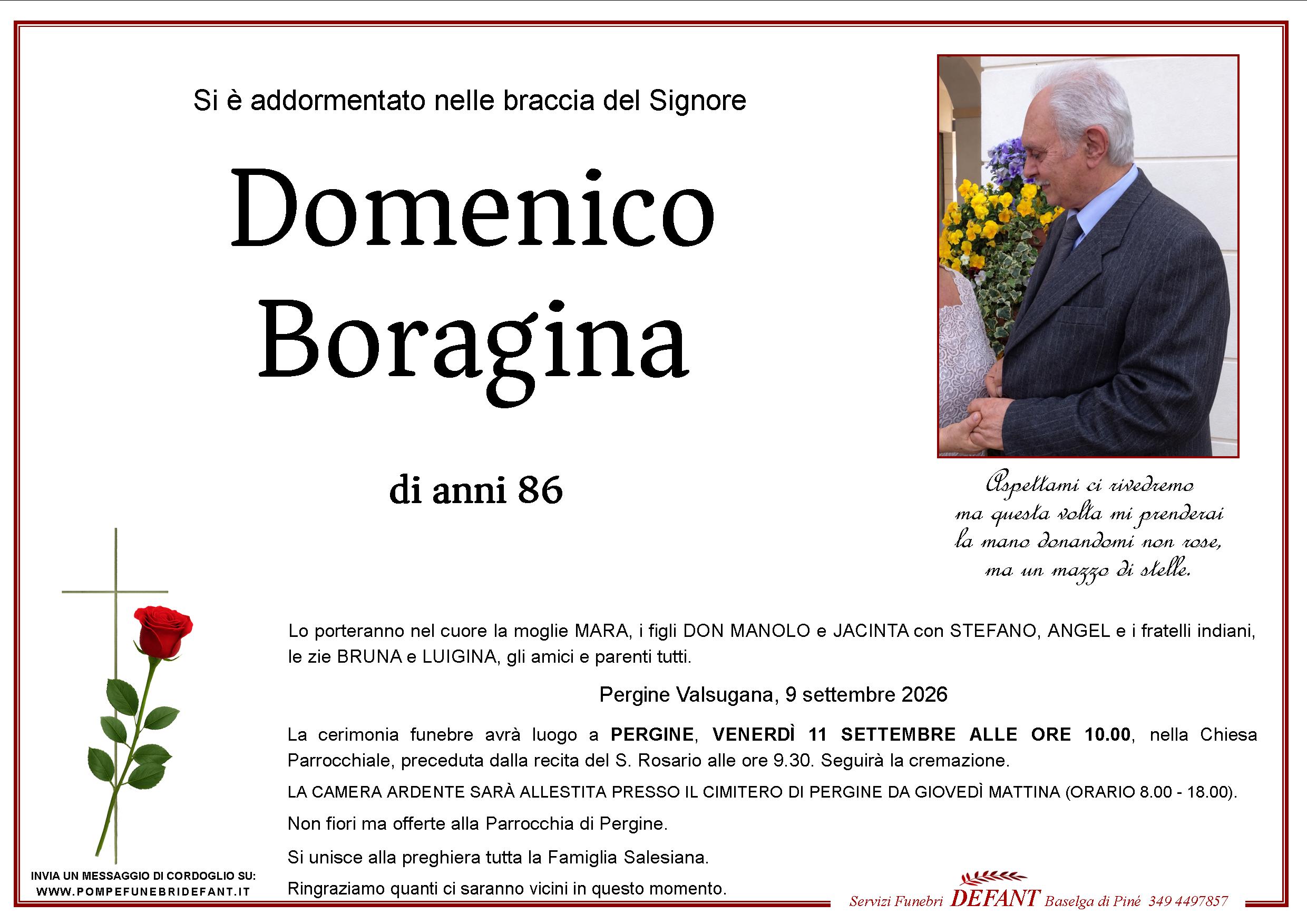 Domenico Boragina