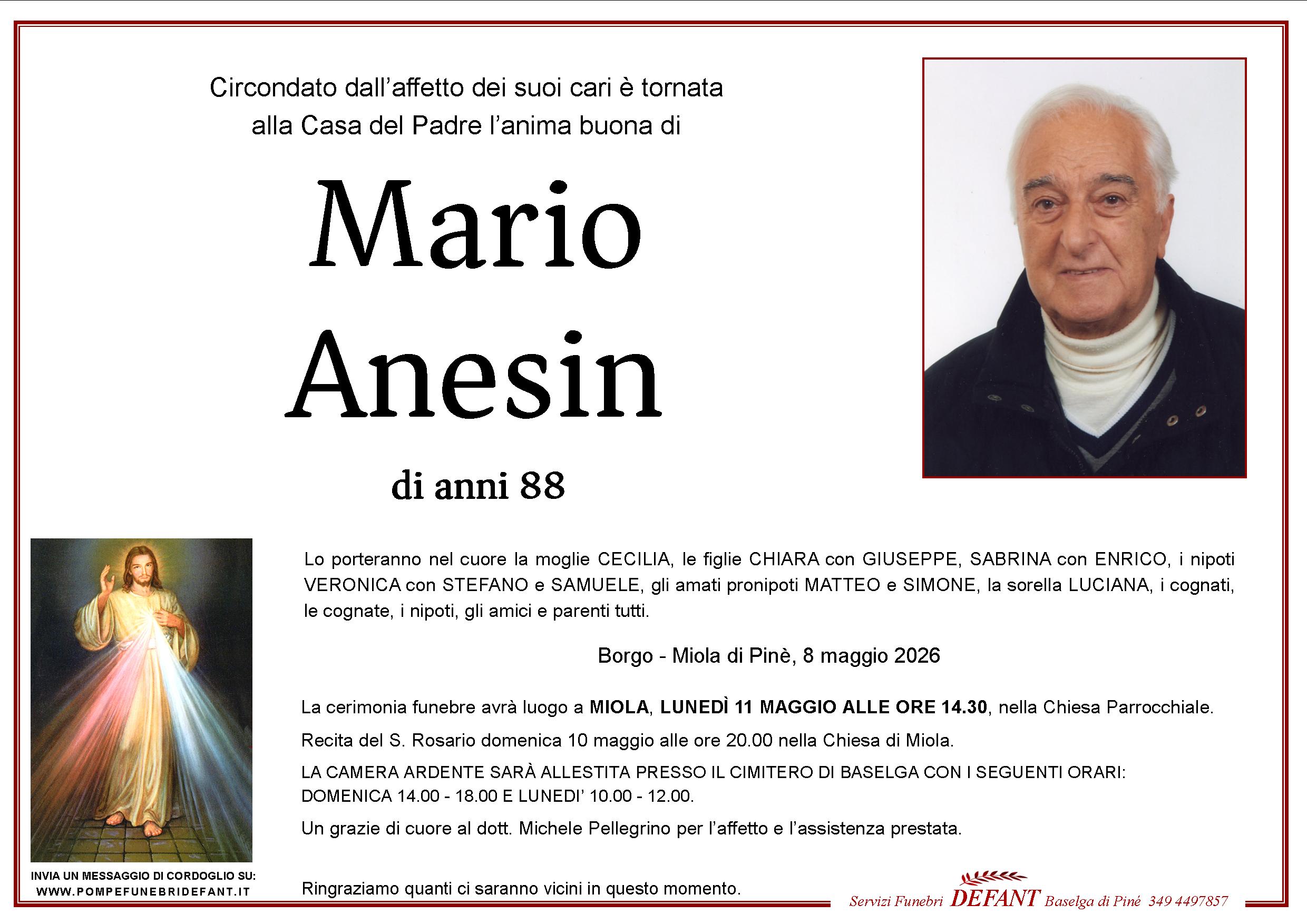 Mario Anesin